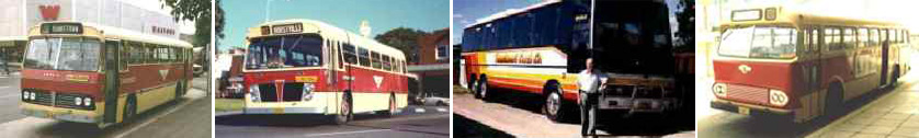 History of Punchbowl buses